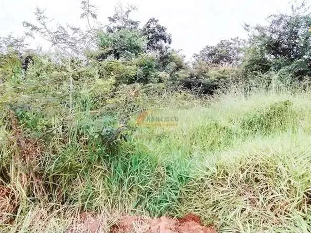 Terreno / Lote para Venda em Divinópolis/MG Floramar