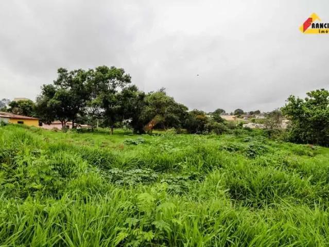 Terreno / Lote para Venda em Divinópolis/MG Jardim Candidés