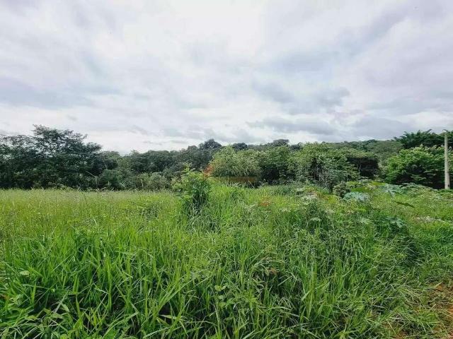 Terreno / Lote para Venda em Divinópolis/MG Jardinópolis