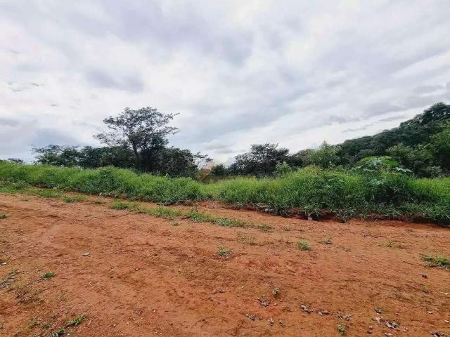 Terreno / Lote para Venda em Divinópolis/MG Jardinópolis