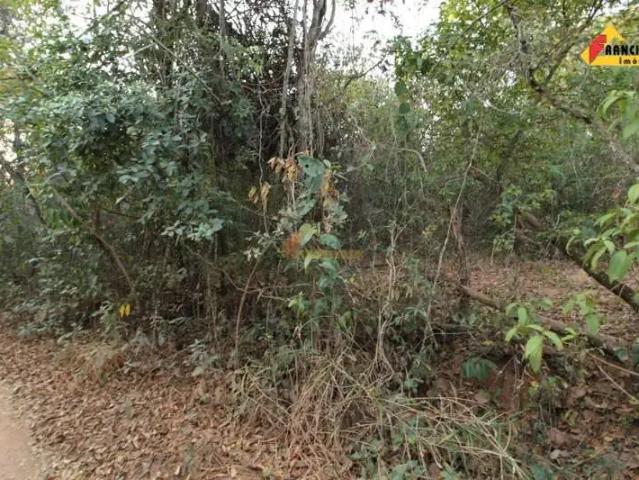 Terreno / Lote para Venda em Divinópolis/MG Jardinópolis