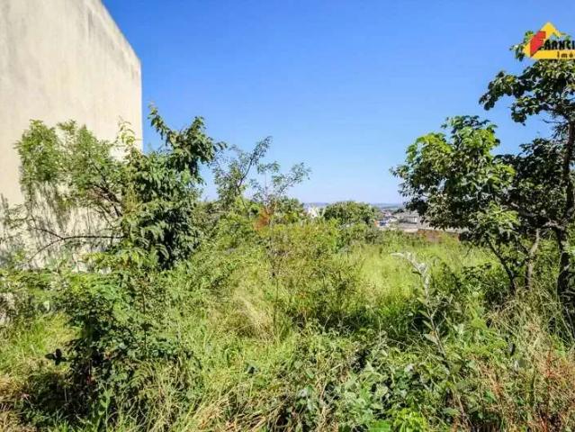 Terreno / Lote para Venda em Divinópolis/MG Padre Eustáquio