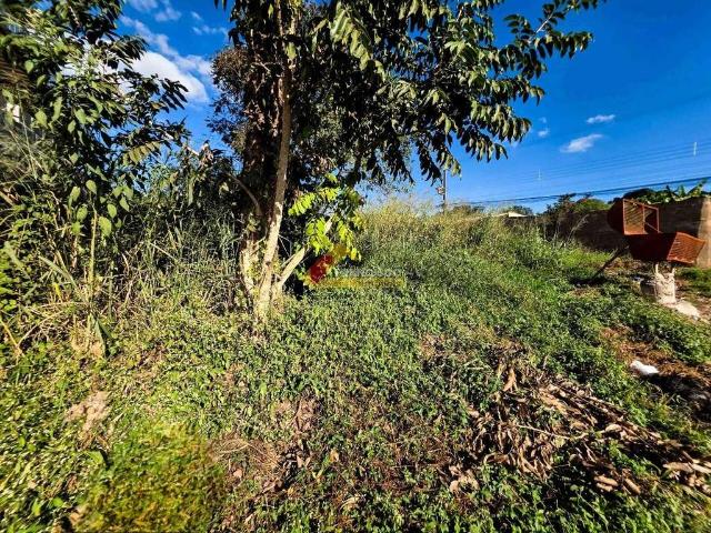 Terreno / Lote para Venda em Divinópolis/MG Primavera