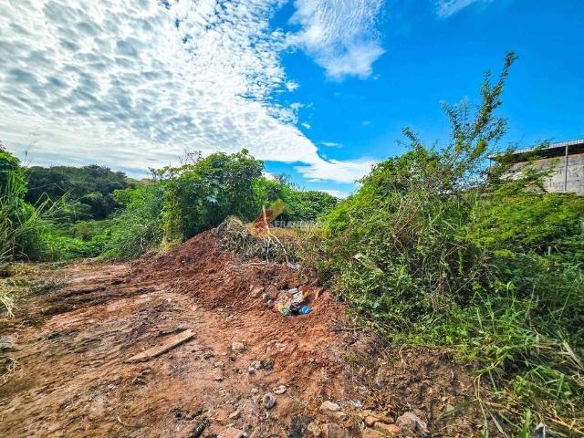 Terreno / Lote para Venda em Divinópolis/MG Primavera