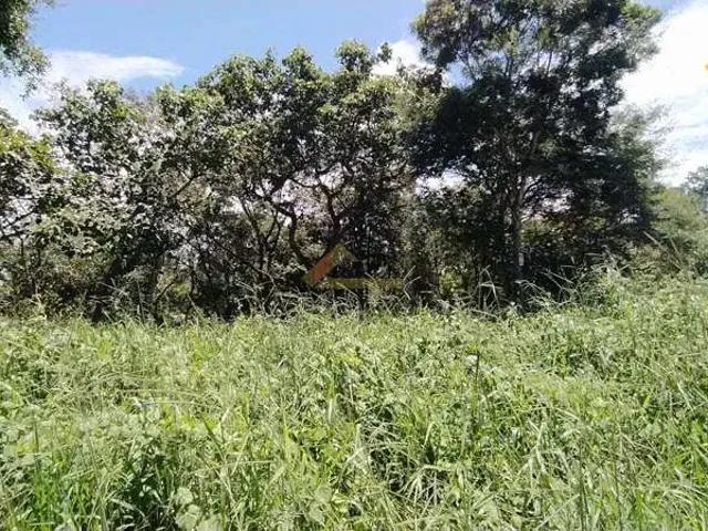 Terreno / Lote para Venda em Divinópolis/MG Primavera