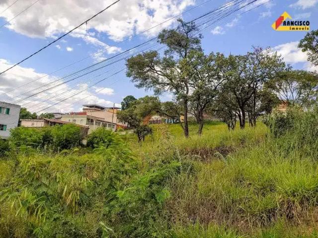 Terreno / Lote para Venda em Divinópolis/MG São Luís