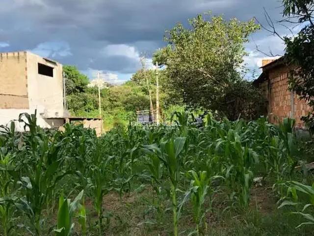 Terreno / Lote para Venda em Divinópolis/MG Santa Rosa