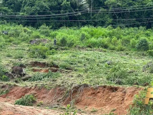 Terreno / Lote para Venda em Domingos Martins/ES Carlos Schwambach