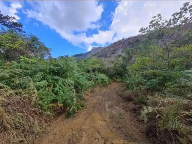 Terreno / Lote para Venda em Domingos Martins/ES Centro