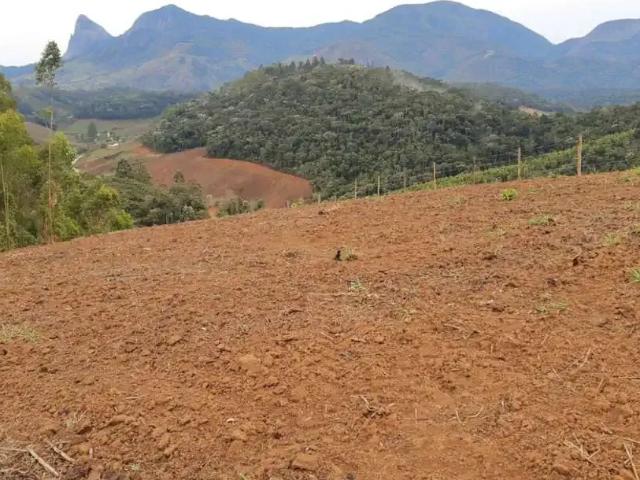 Terreno / Lote para Venda em Domingos Martins/ES Centro