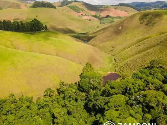 Terreno / Lote para Venda em Domingos Martins/ES Centro