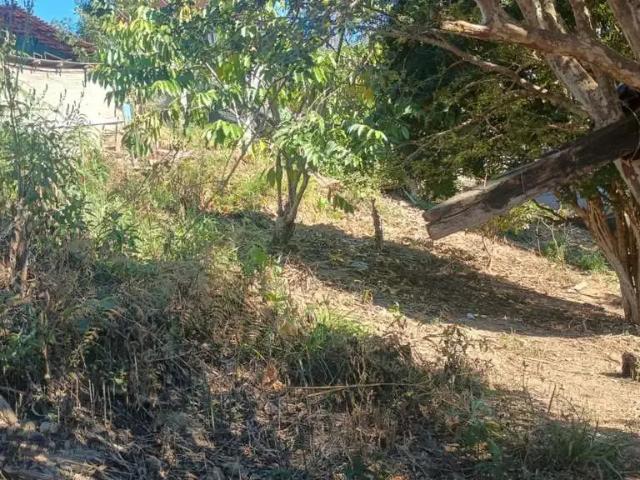 Terreno / Lote para Venda em Domingos Martins/ES Aracê