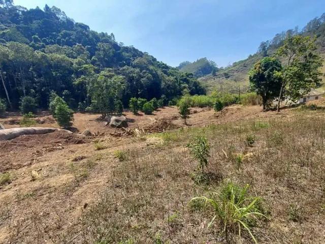 Terreno / Lote para Venda em Domingos Martins/ES Aracê