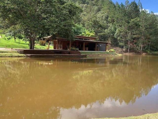 Terreno / Lote para Venda em Domingos Martins/ES Pedra Azul