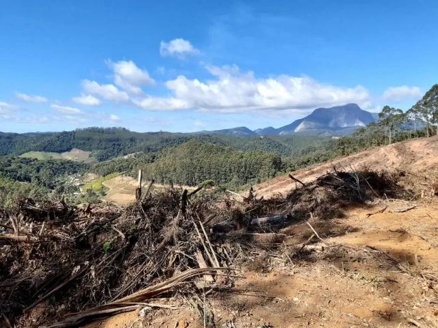 Terreno / Lote para Venda em Domingos Martins/ES Pedra Azul