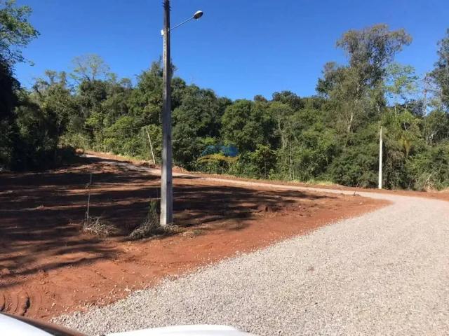 Terreno / Lote para Venda em Dois Irmãos/RS Beira Rio
