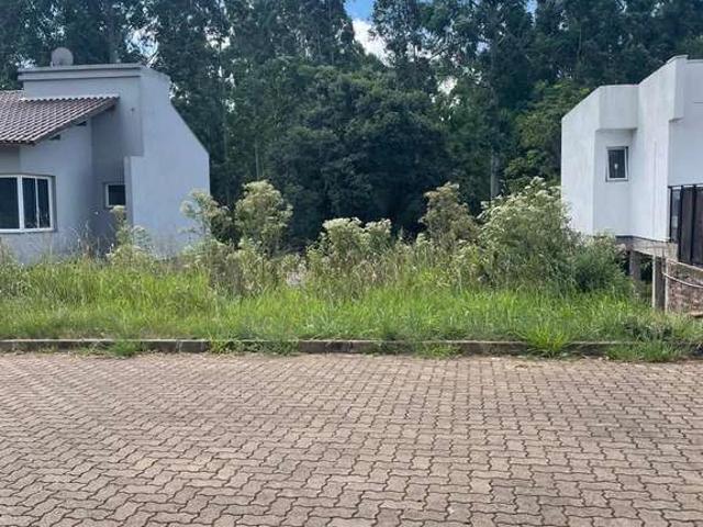 Terreno / Lote para Venda em Dois Irmãos/RS Bela Vista