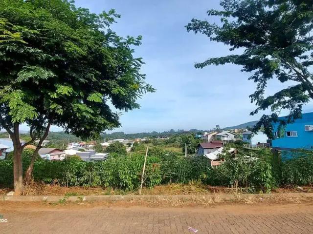 Terreno / Lote para Venda em Dois Irmãos/RS Bela Vista