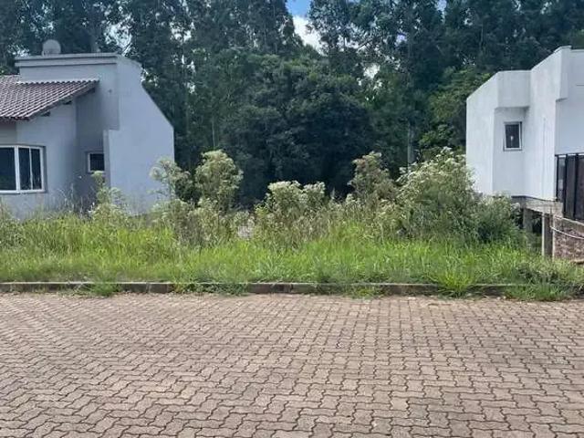 Terreno / Lote para Venda em Dois Irmãos/RS Bela Vista