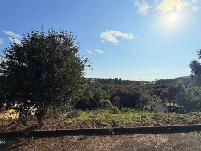 Terreno / Lote para Venda em Dois Irmãos/RS Bela Vista