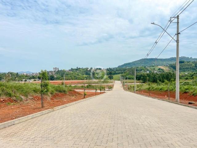 Terreno / Lote para Venda em Dois Irmãos/RS Centro
