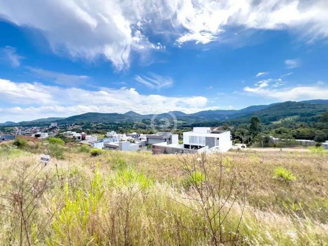 Terreno / Lote para Venda em Dois Irmãos/RS Centro
