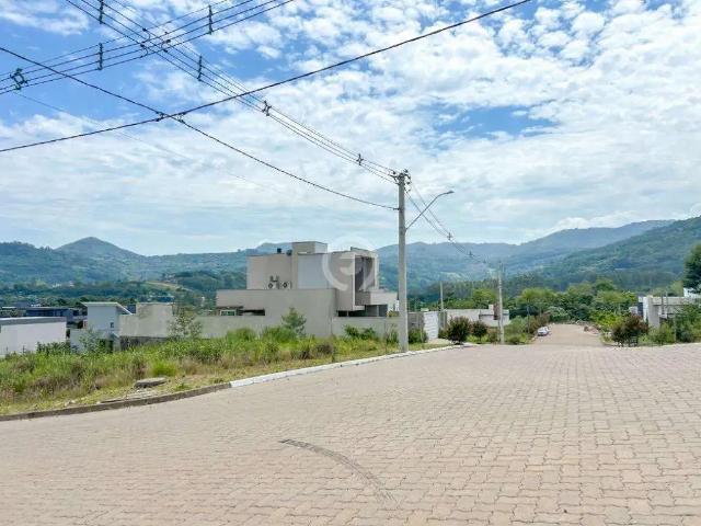 Terreno / Lote para Venda em Dois Irmãos/RS Centro