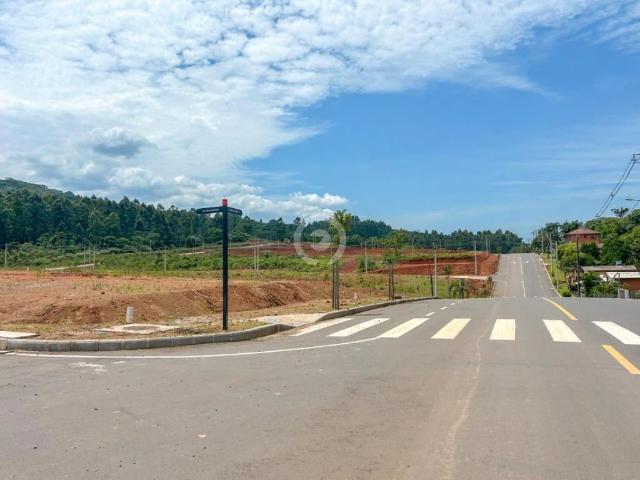 Terreno / Lote para Venda em Dois Irmãos/RS Centro