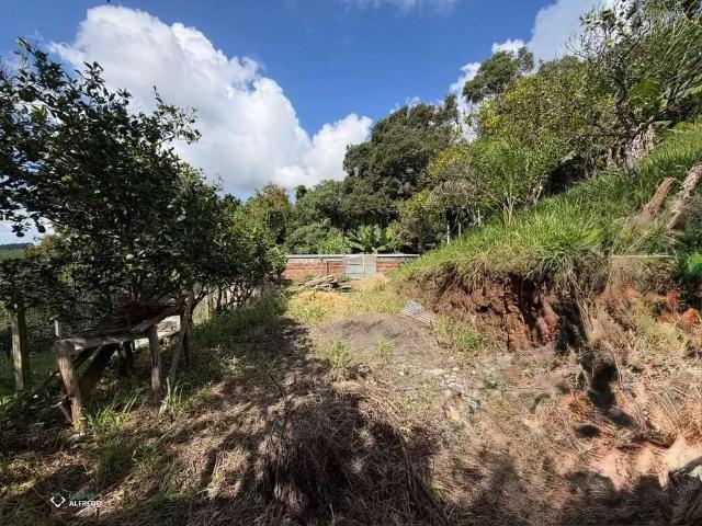 Terreno / Lote para Venda em Dois Irmãos/RS Loteamento Jardim Bonamigo