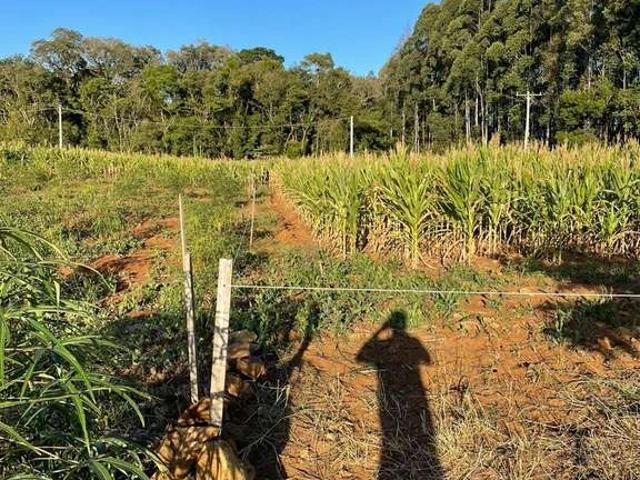 Terreno / Lote para Venda em Dois Irmãos/RS São João