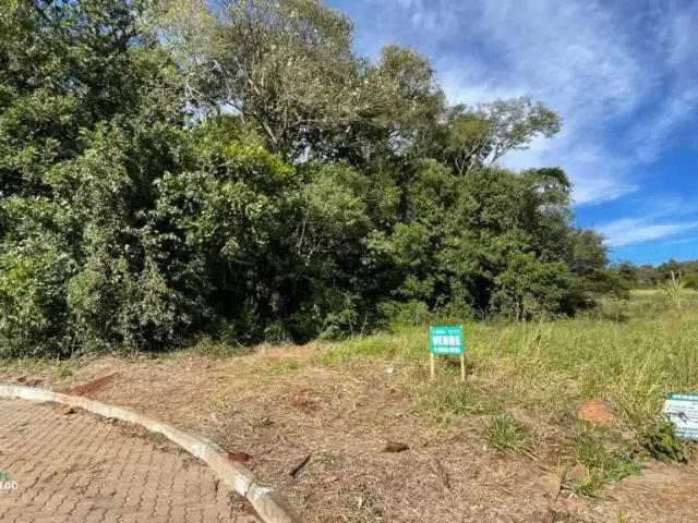 Terreno / Lote para Venda em Dois Irmãos/RS São João