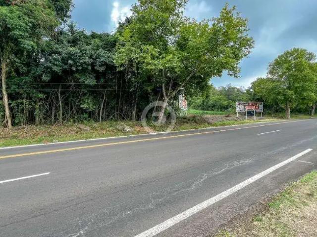 Terreno / Lote para Venda em Dois Irmãos/RS Travessão