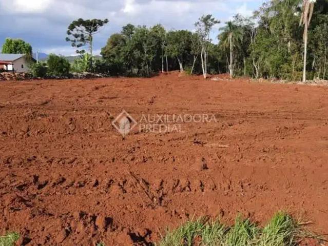 Terreno / Lote para Venda em Dois Irmãos/RS Travessão