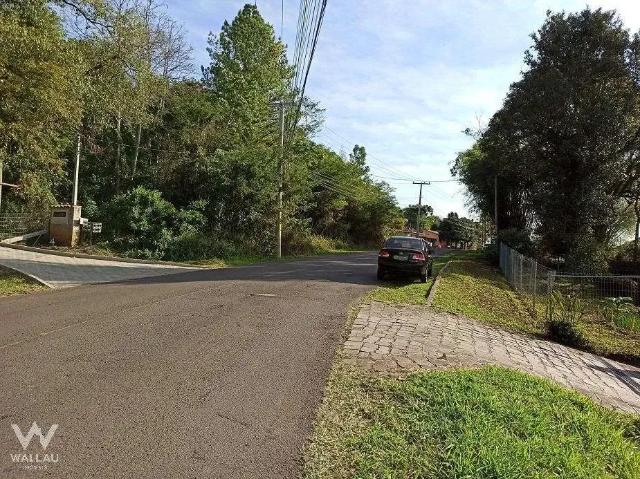 Terreno / Lote para Venda em Dois Irmãos/RS Travessão