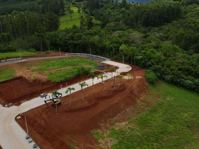 Terreno / Lote para Venda em Dois Irmãos/RS União