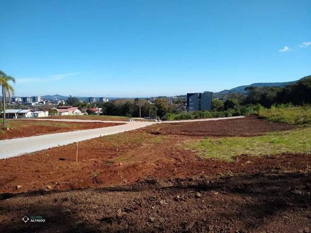 Terreno / Lote para Venda em Dois Irmãos/RS União