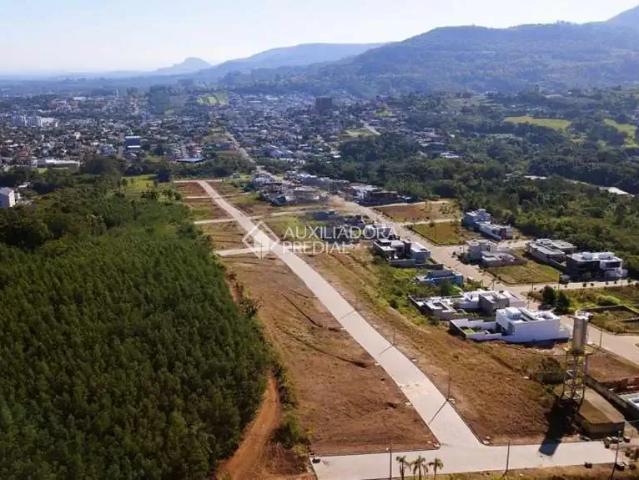 Terreno / Lote para Venda em Dois Irmãos/RS União