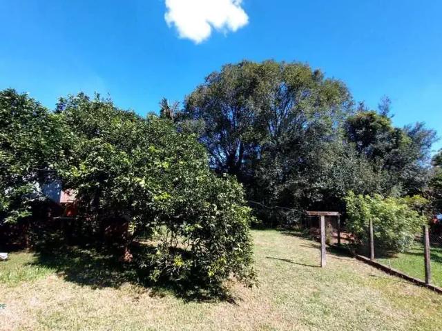 Terreno / Lote para Venda em Dois Irmãos/RS União