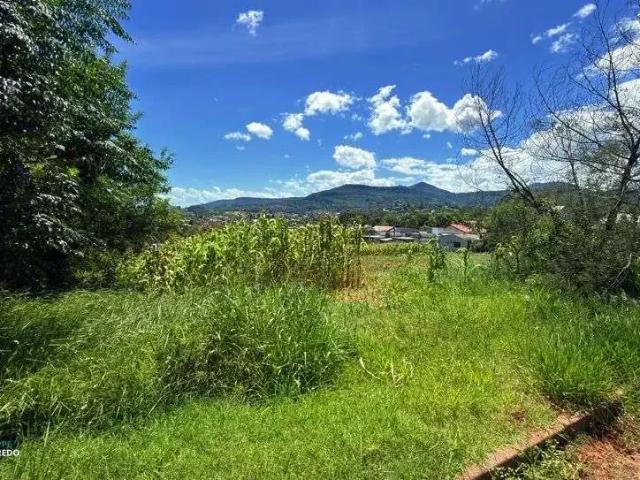 Terreno / Lote para Venda em Dois Irmãos/RS União