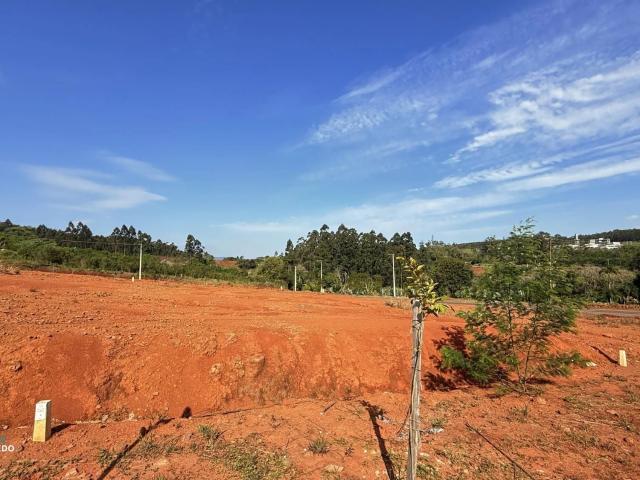 Terreno / Lote para Venda em Dois Irmãos/RS Vale Direito