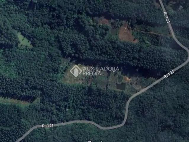 Terreno / Lote para Venda em Dois Irmãos/RS Vale Direito