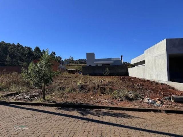 Terreno / Lote para Venda em Dois Irmãos/RS Vale Direito