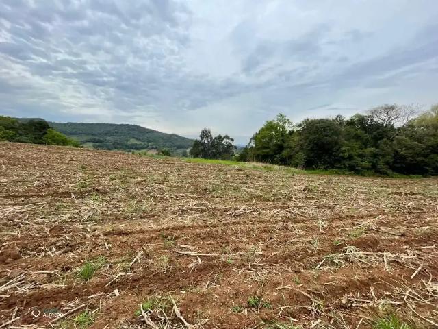 Terreno / Lote para Venda em Dois Irmãos/RS Vale Direito