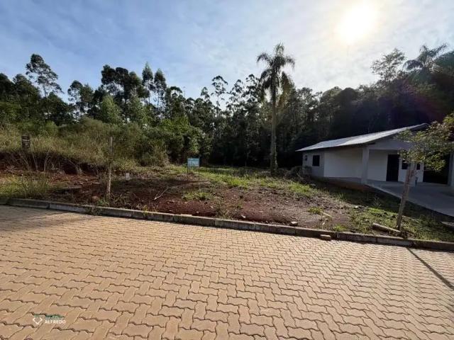 Terreno / Lote para Venda em Dois Irmãos/RS Vale Direito