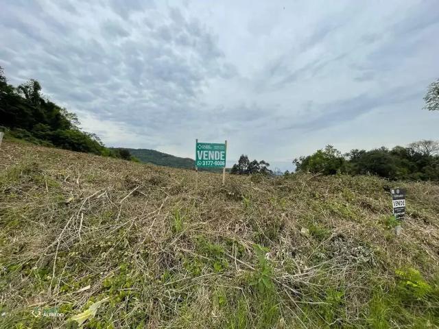 Terreno / Lote para Venda em Dois Irmãos/RS Vale Direito
