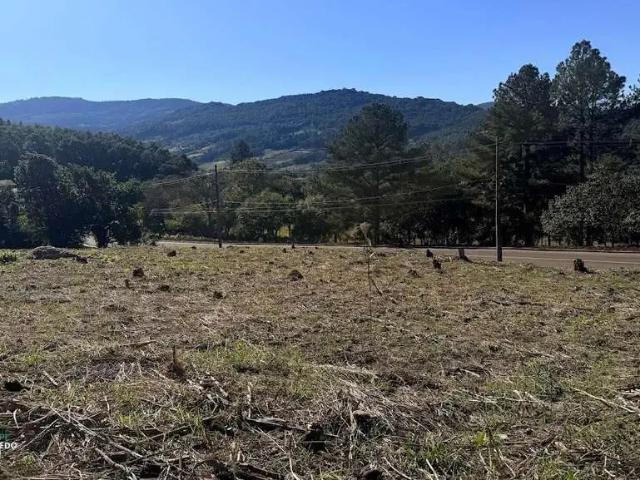 Terreno / Lote para Venda em Dois Irmãos/RS Vale Direito
