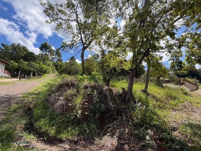 Terreno / Lote para Venda em Dois Irmãos/RS Vale Direito