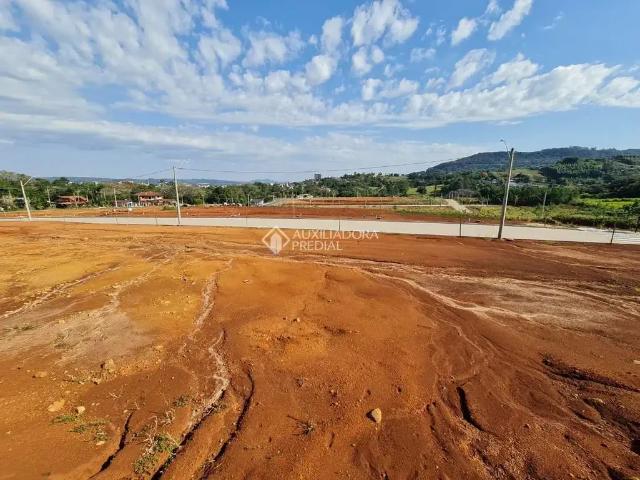 Terreno / Lote para Venda em Dois Irmãos/RS Vale Direito
