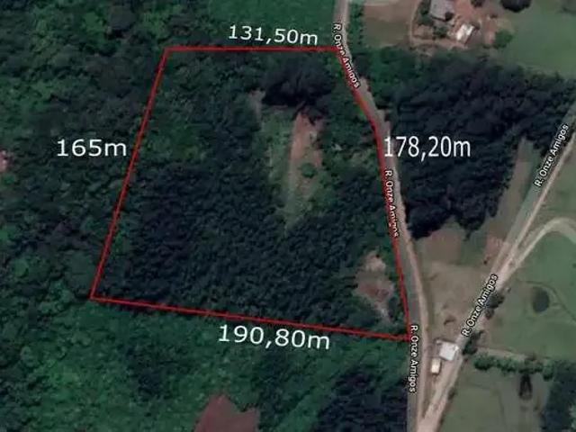 Terreno / Lote para Venda em Dois Irmãos/RS Vale Direito