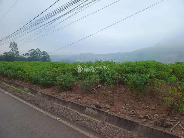 Terreno / Lote para Venda em Dois Irmãos/RS Vale Verde